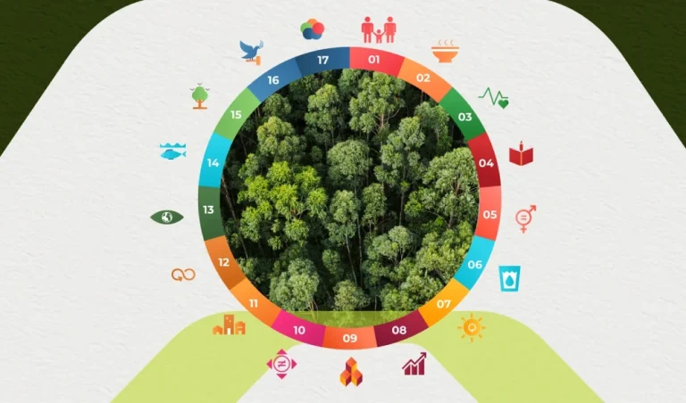 Objetivos de desenvolvimento sustentável