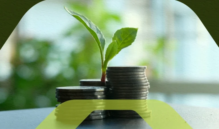 Precificação de projetos ambientais