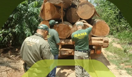 taxa de controle e fiscalização ambiental ibama