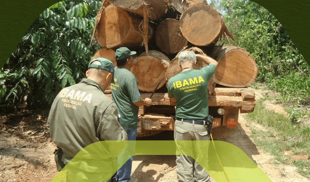 taxa de controle e fiscalização ambiental ibama