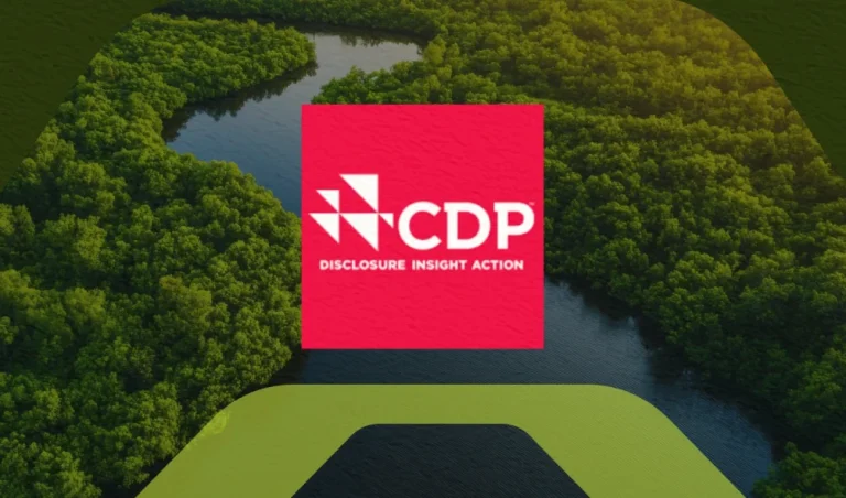 carbon disclosure project (cdp)