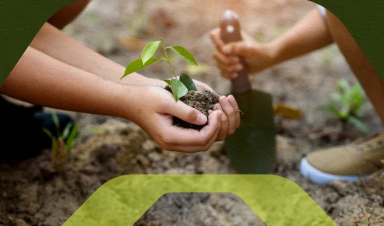 compensação ambiental