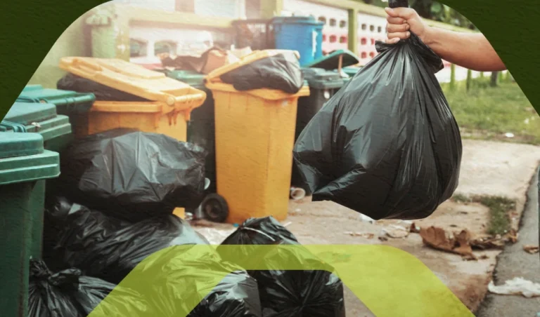 Declaração Anual de Resíduos Sólidos