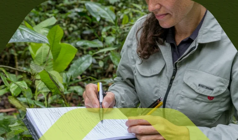 Relatório de controle ambiental