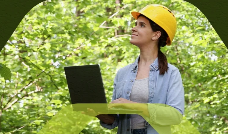 Software para licenciamento ambiental