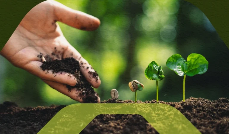 Pilares da sustentabilidade