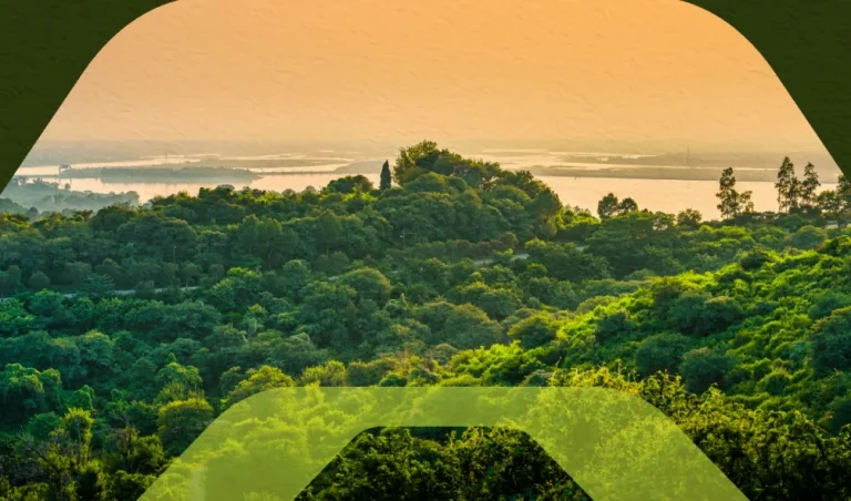 Código florestal brasileiro