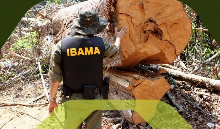 Certificado de regularidade do ibama