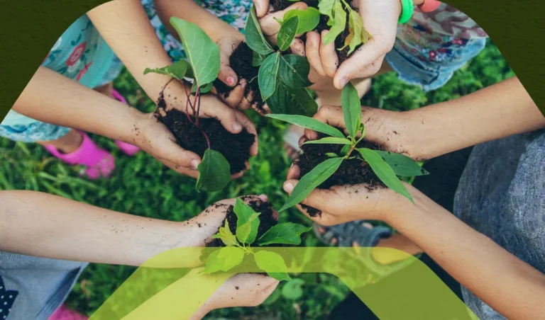 Educação ambiental