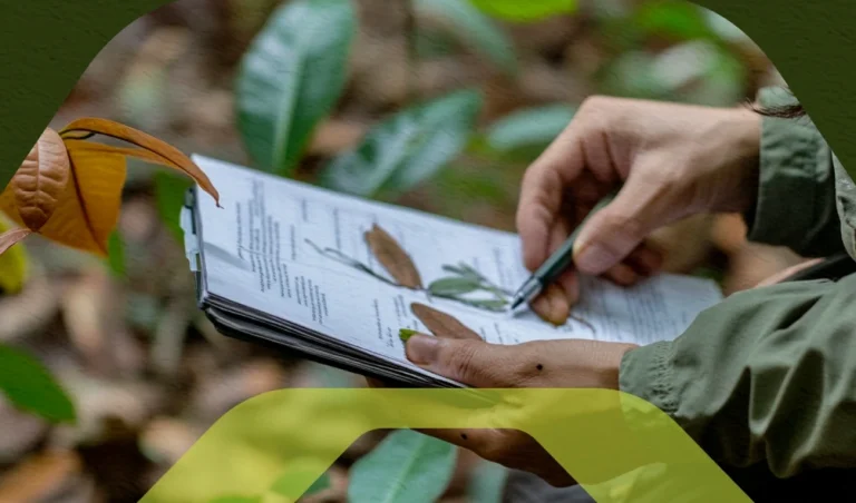 Checklist de auditoria ambiental