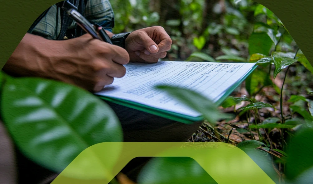 Controle de licenças ambientais