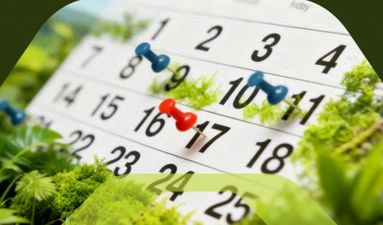 Gestão de prazos ambientais