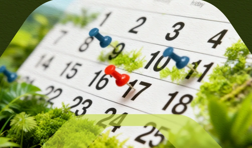 Gestão de prazos ambientais