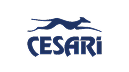 grupo cesari 1