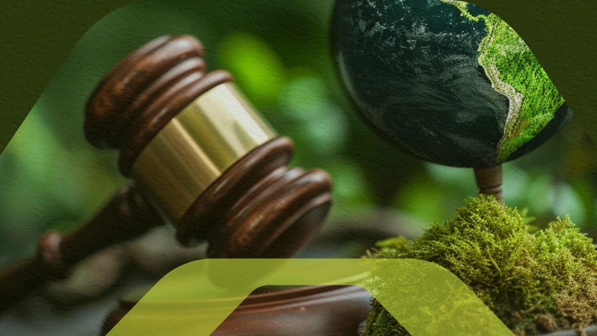 TAC ambiental